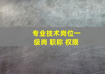 专业技术岗位一级岗 职称 权限